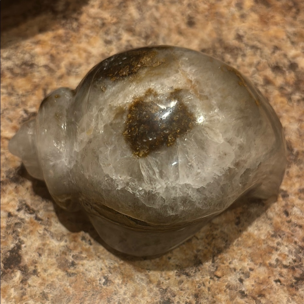 Beautiful Shell shaped natural geode.